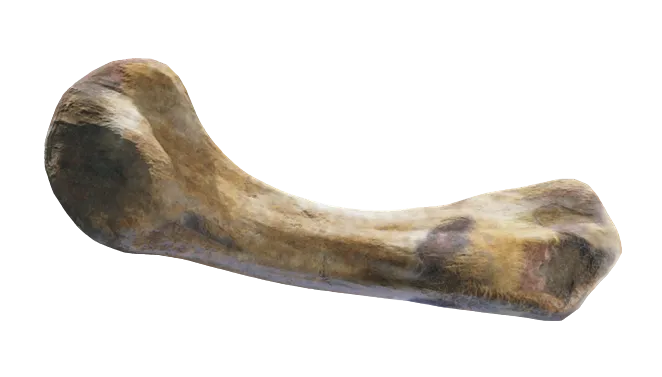 Starfield Analgesic (Bone)